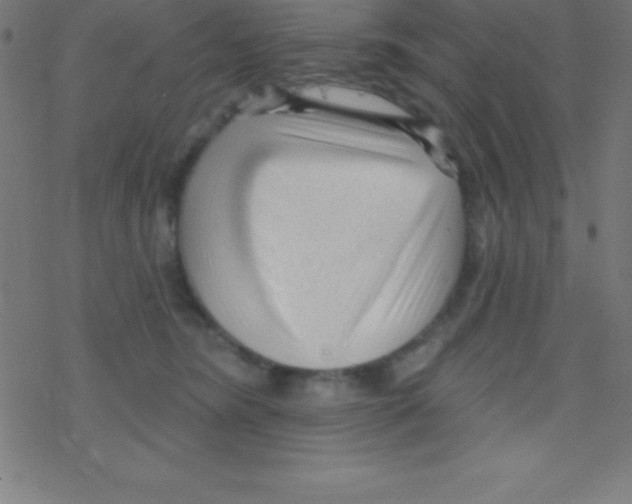 X0000078310420200612011904