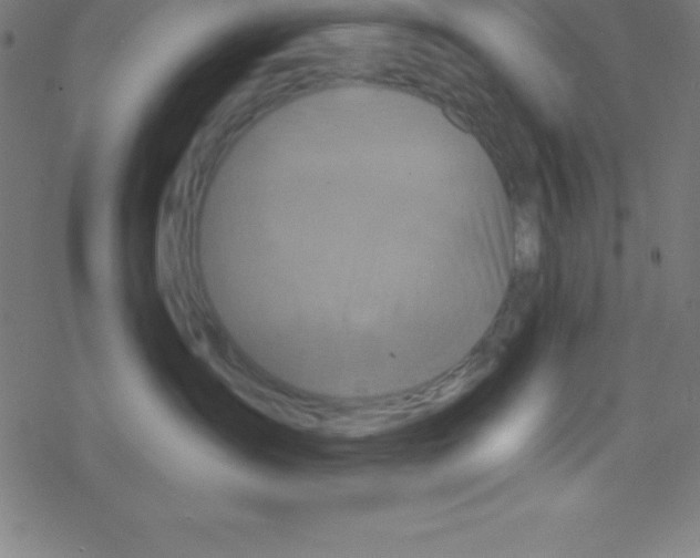 X0000078310431200612011904