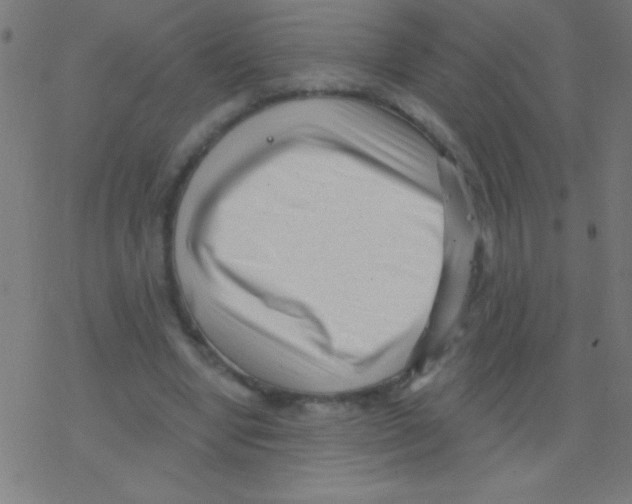 X0000078310442200612011903