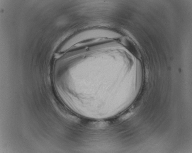 X0000078310443200612011903