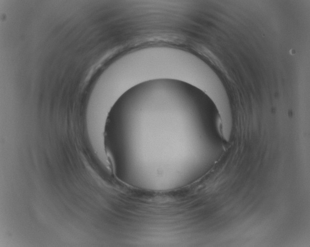 X0000078310444200612011903