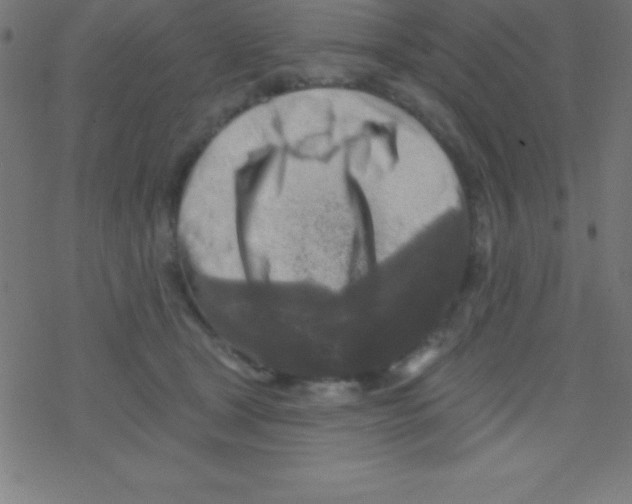 X0000078310465200612011904