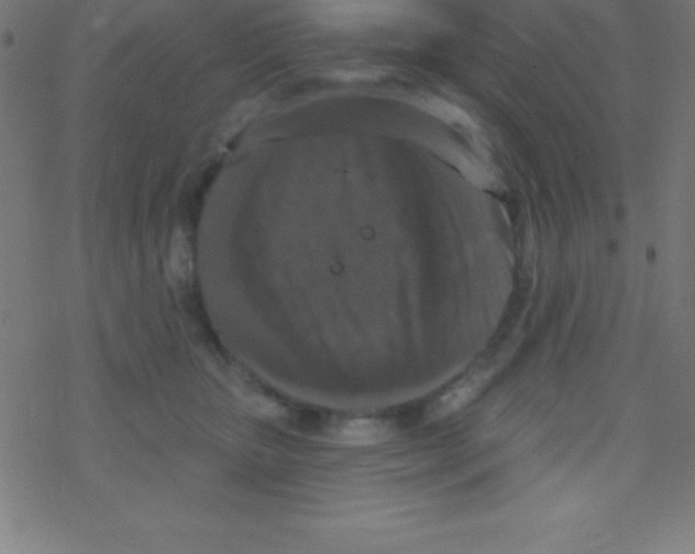 X0000078310467200612011904