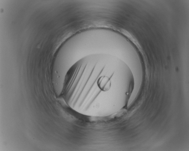 X0000078310481200612011903
