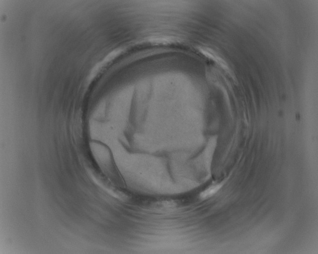 X0000078310492200612011903