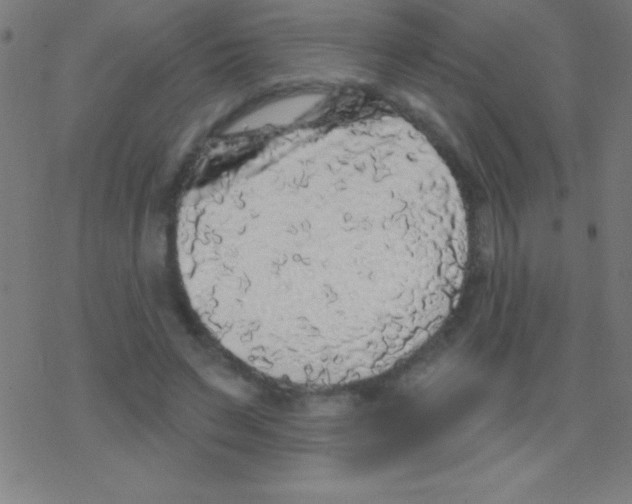 X0000078310495200612011903