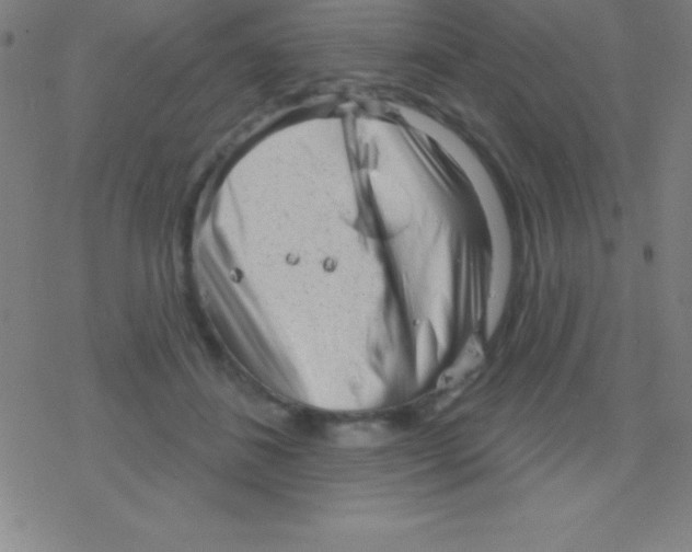 X0000078310508200612011903