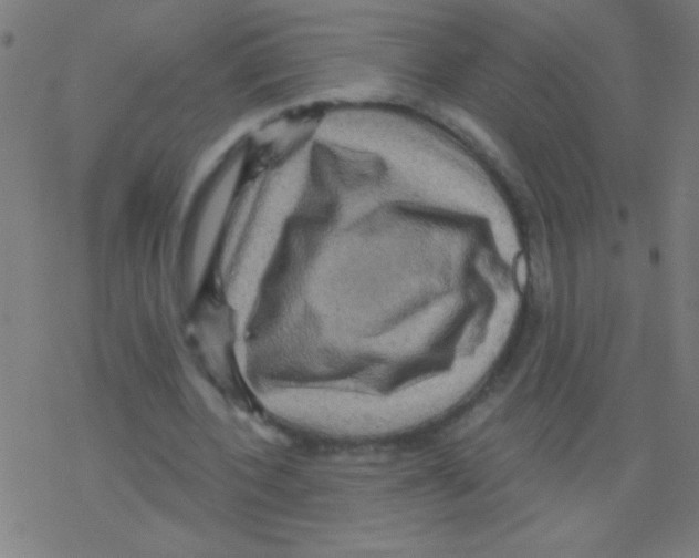 X0000078310532200612011902