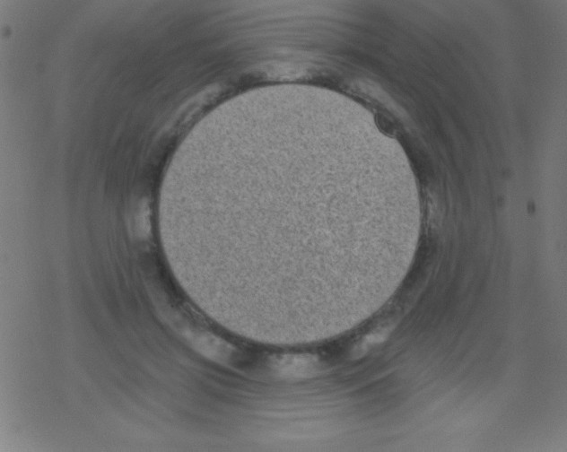 X0000078310549200612011902