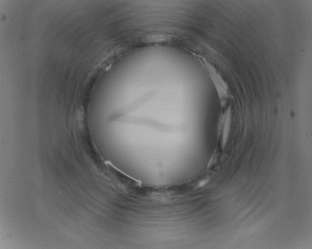X0000078310556200612011902