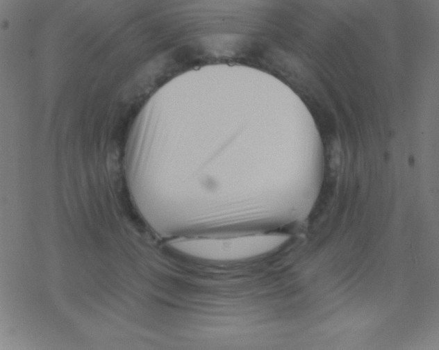 X0000078310559200612011902