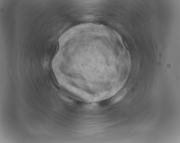 X0000078310576200612011902