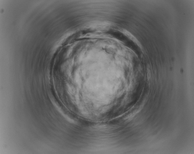X0000078310581200612011901