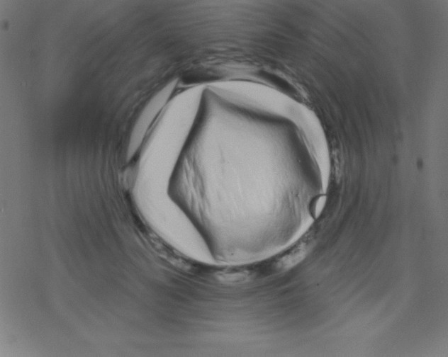 X0000078310606200612011901