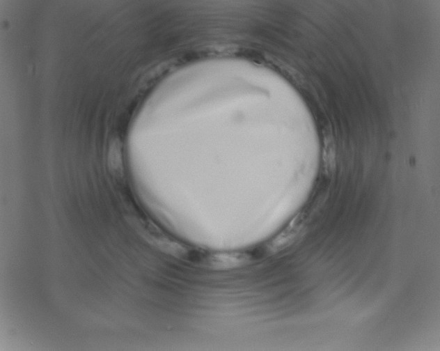 X0000078310623200612011901