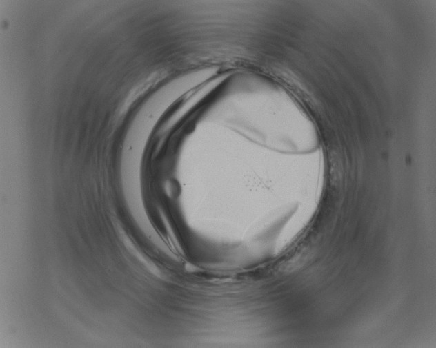 X0000078310634200612011900