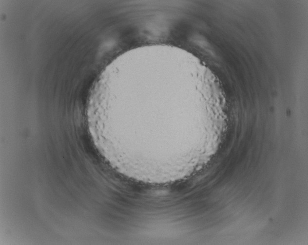 X0000078310651200612011900