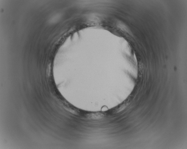 X0000078310652200612011900