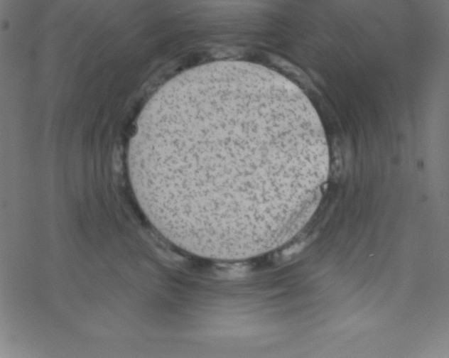 X0000078310667200612011901