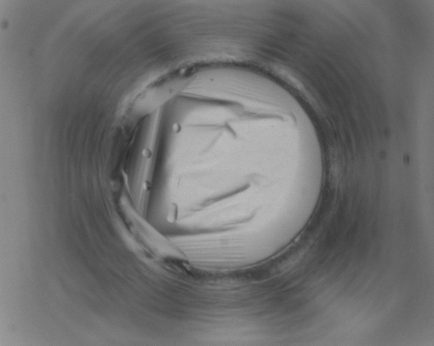 X0000078310677200612011900