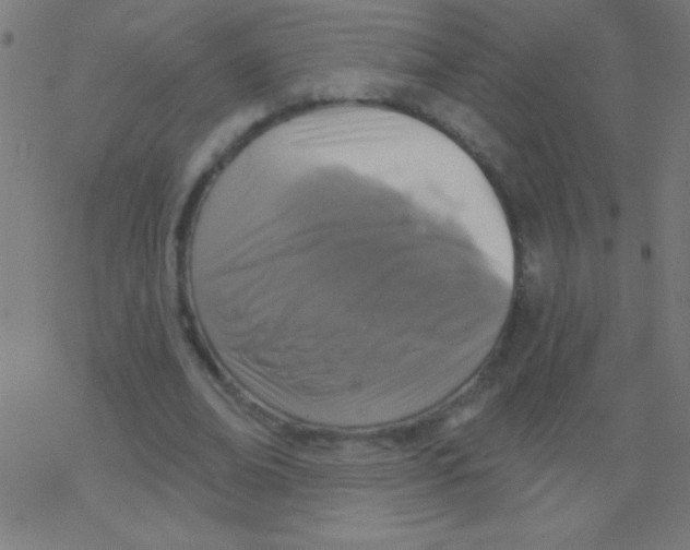 X0000078310678200612011900