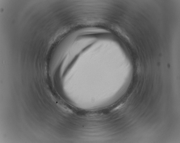 X0000078310685200612011900