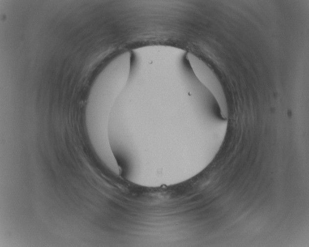X0000078310692200612011900