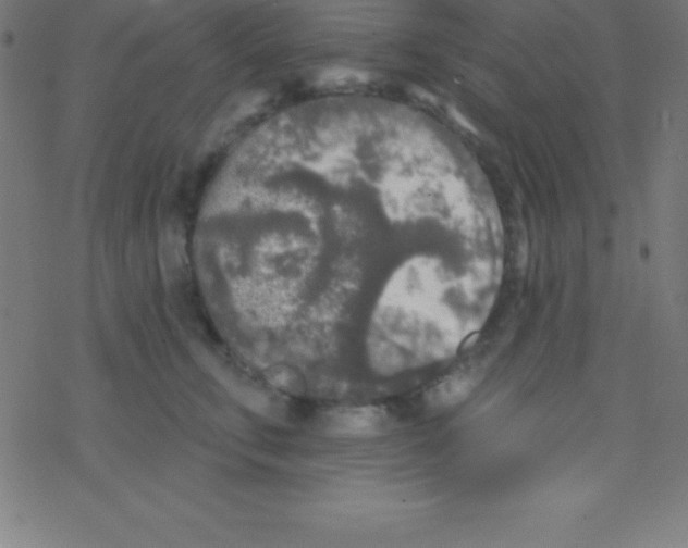 X0000078310711200612011859