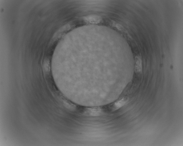 X0000078310713200612011859