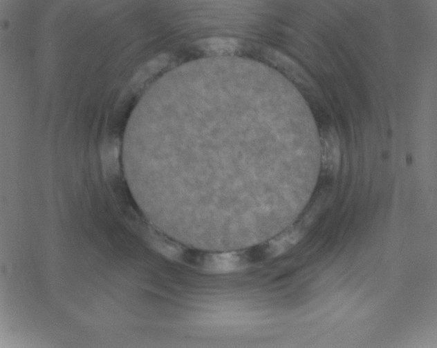 X0000078310717200612011859