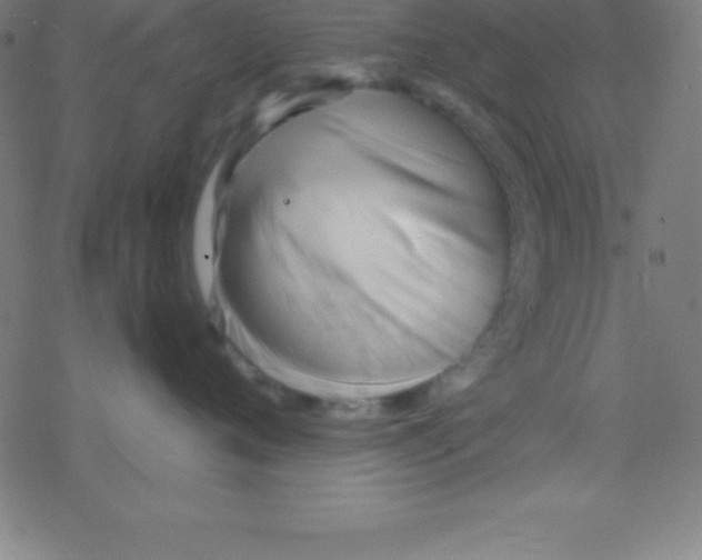 X0000078310720200612011859