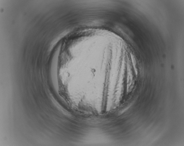 X0000078310725200612011859