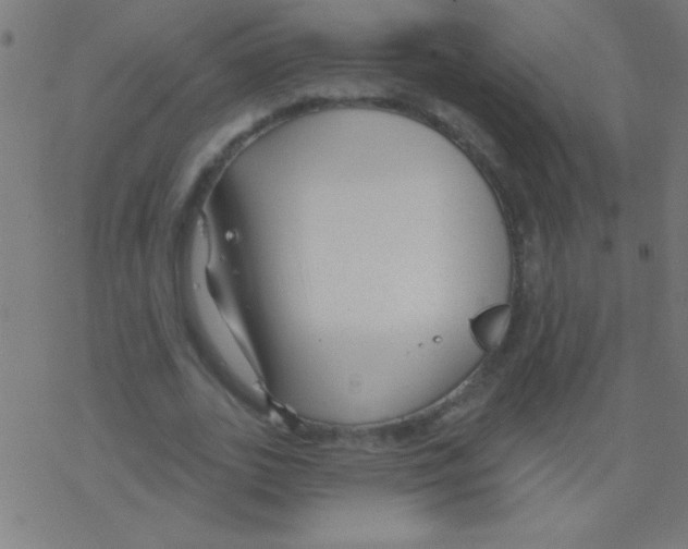 X0000078310727200612011859