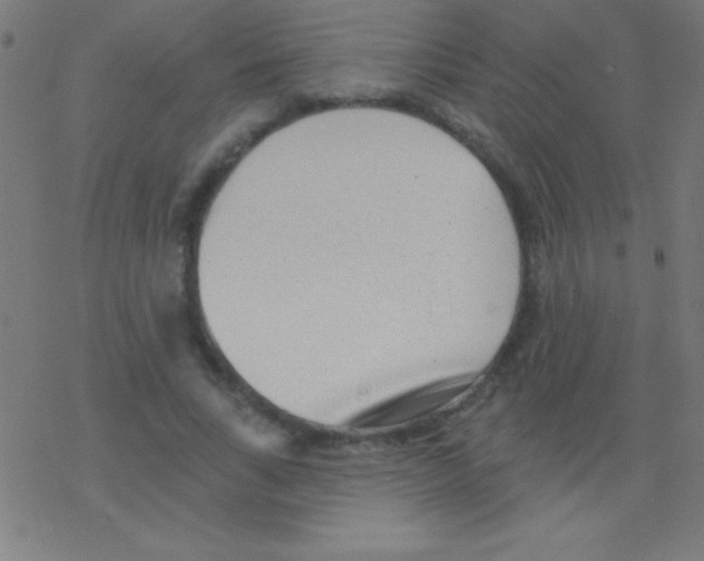 X0000078310735200612011859