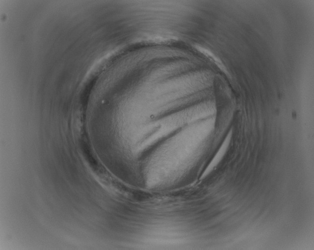 X0000078310736200612011859