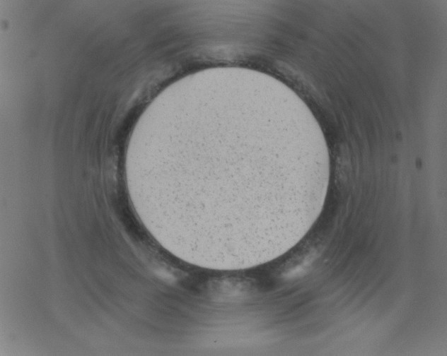 X0000078310739200612011859