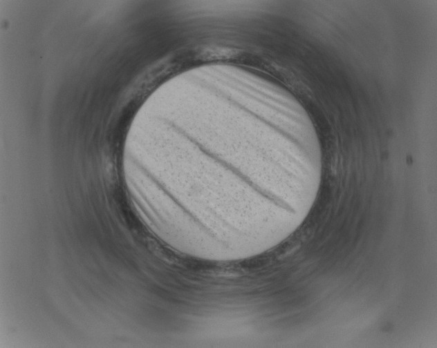 X0000078310743200612011859