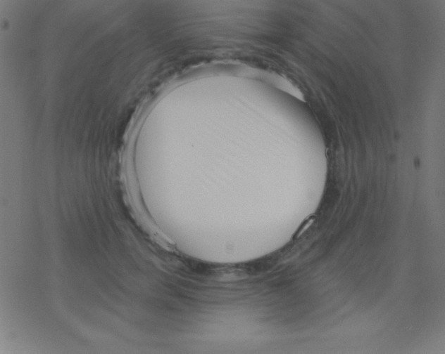 X0000078310750200612011859