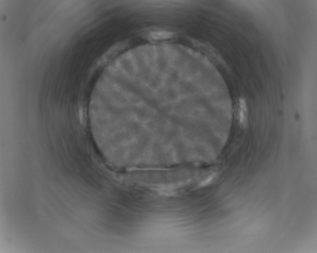 X0000078310763200612011859