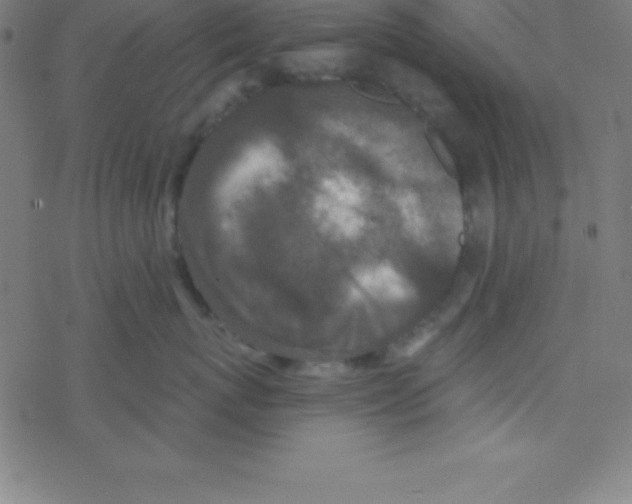 X0000078310767200612011859