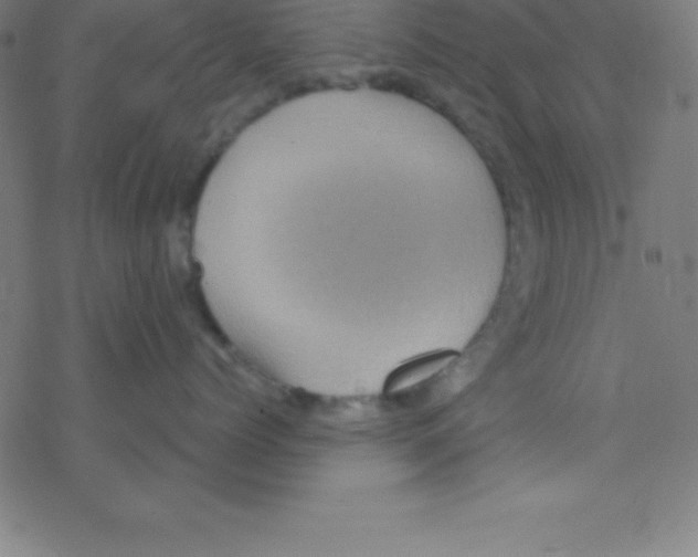 X0000078310768200612011859