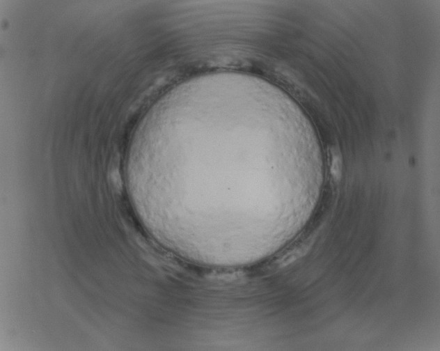 X0000078310771200612011858