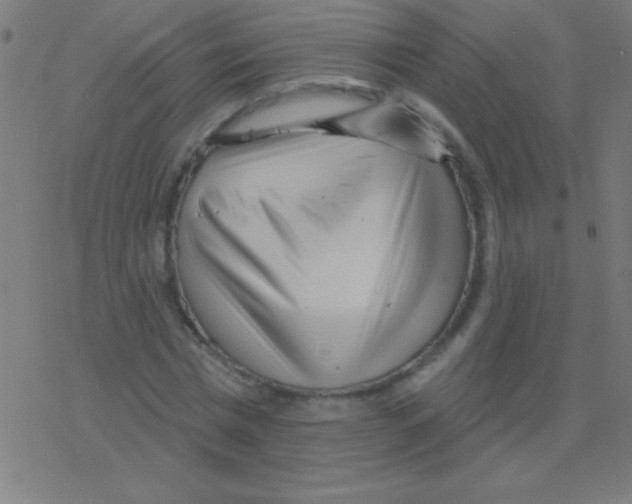 X0000078310777200612011858