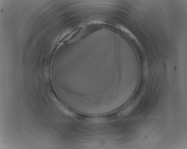 X0000078310785200612011858