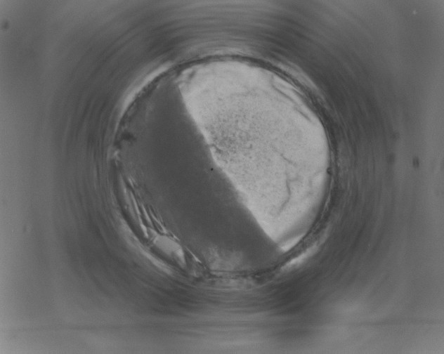 X0000078310790200612011858