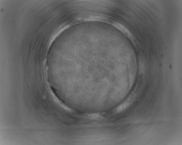 X0000078310798200612011858