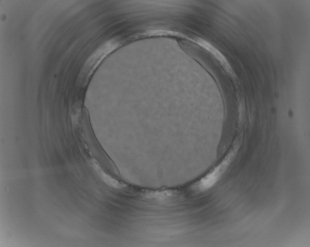 X0000078310801200612011858