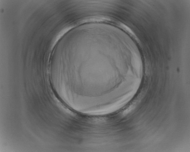X0000078310802200612011858