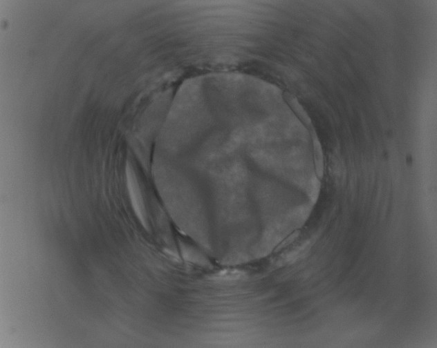 X0000078310818200612011857