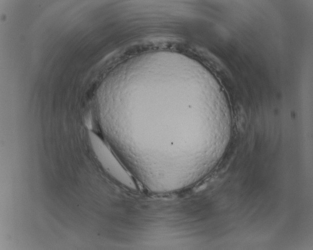 X0000078310821200612011857